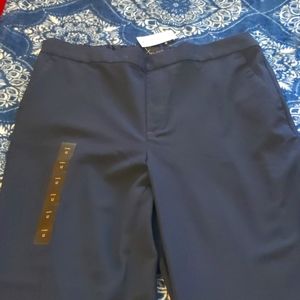 NWT Banana Republic Hayden pants
